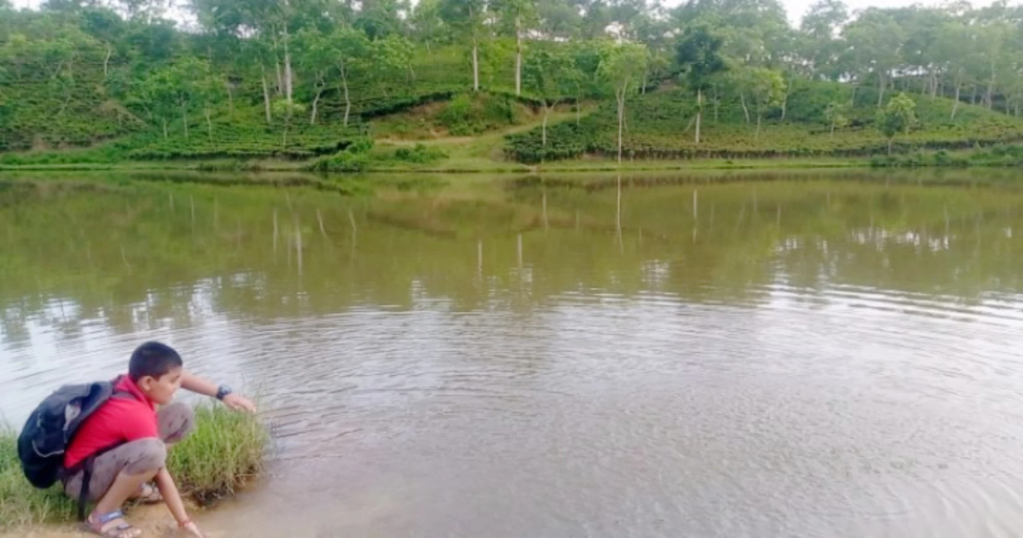শ্রীমঙ্গলের ভূরভুরিয়া চা বাগান লেক প্রকৃতিপ্রেমিদের প্রশান্তির স্থান