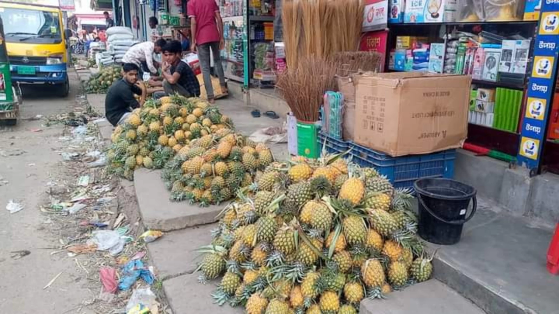 শ্রীমঙ্গলে মৌসুমি ফল আনারসের সয়লাব