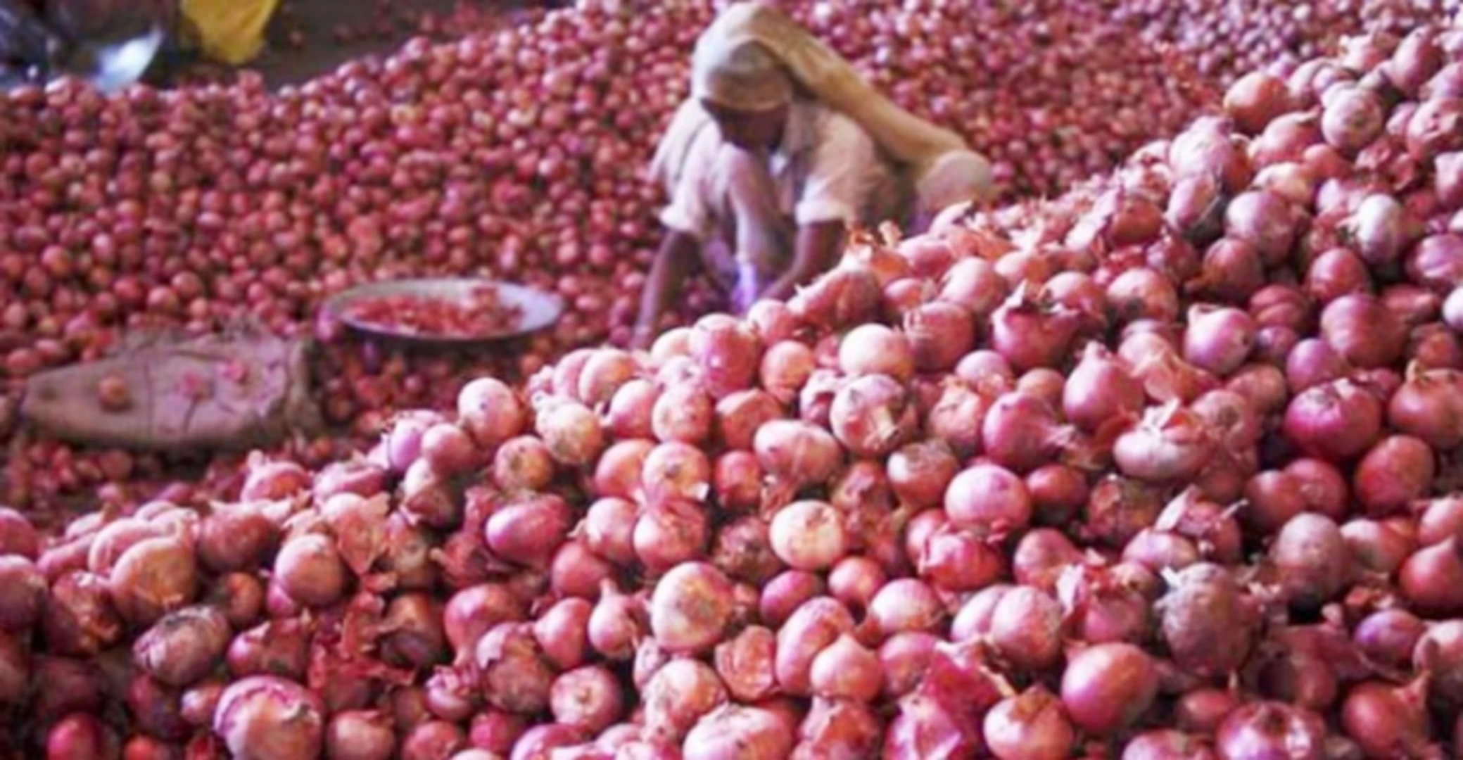 বাংলাদেশে পেঁয়াজ রপ্তানির অনুমতি দিল ভারত