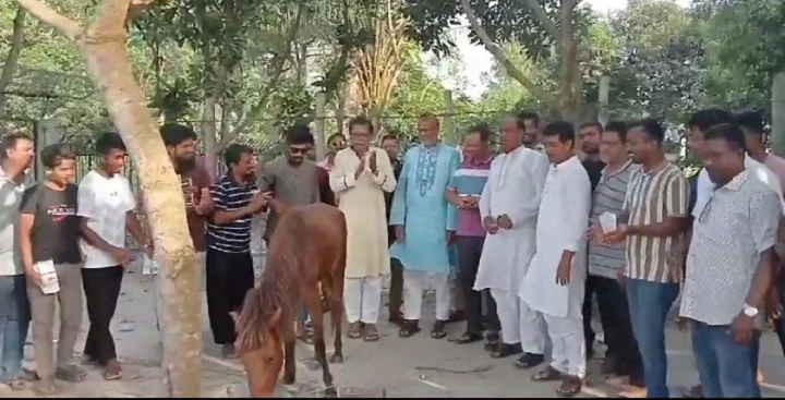 চাঁদপুরে জীবন্ত ঘোড়া প্রতীক ব্যবহার করায় মানিক দর্জিকে শোকজ