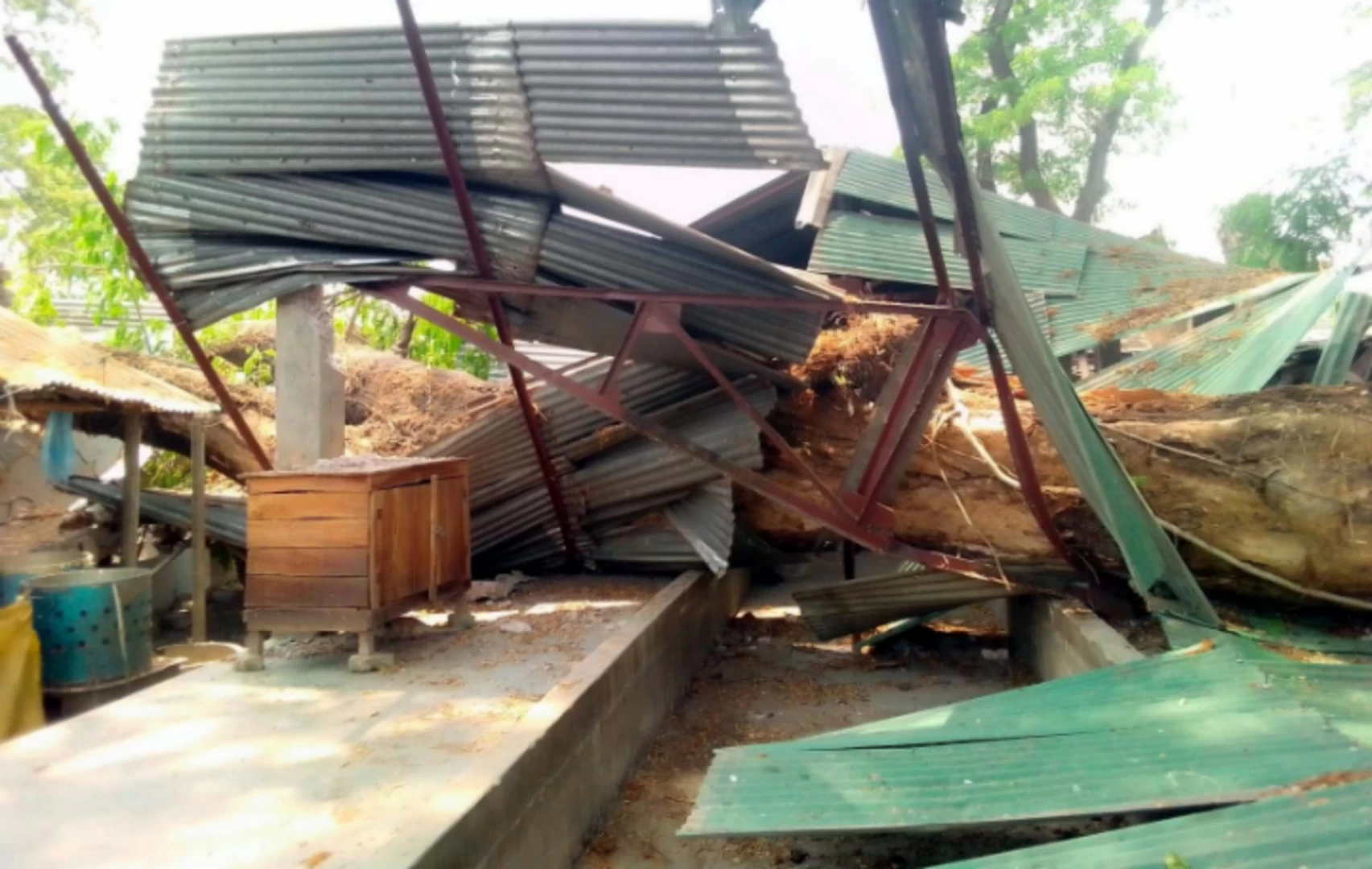 ভেঙ্গে পরলো সারদা বাজারের শতবর্ষী গাছ