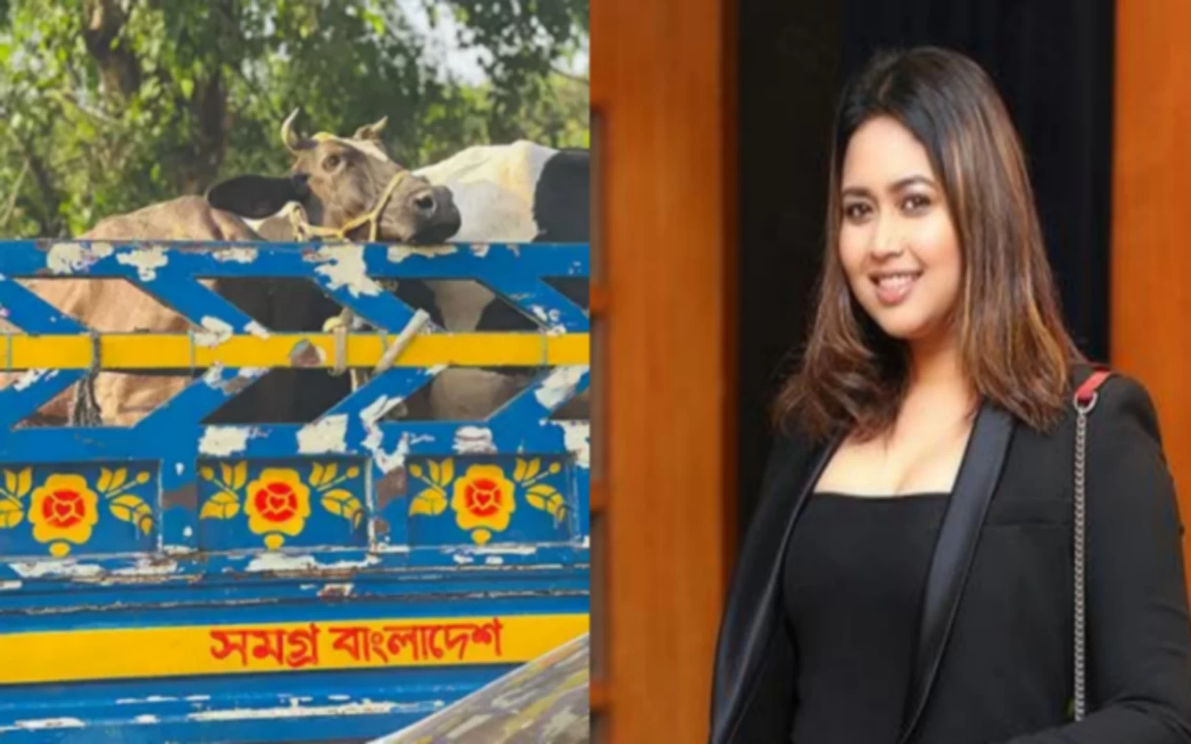 গরু বিতর্কের জবাব দিলেন ভাবনা