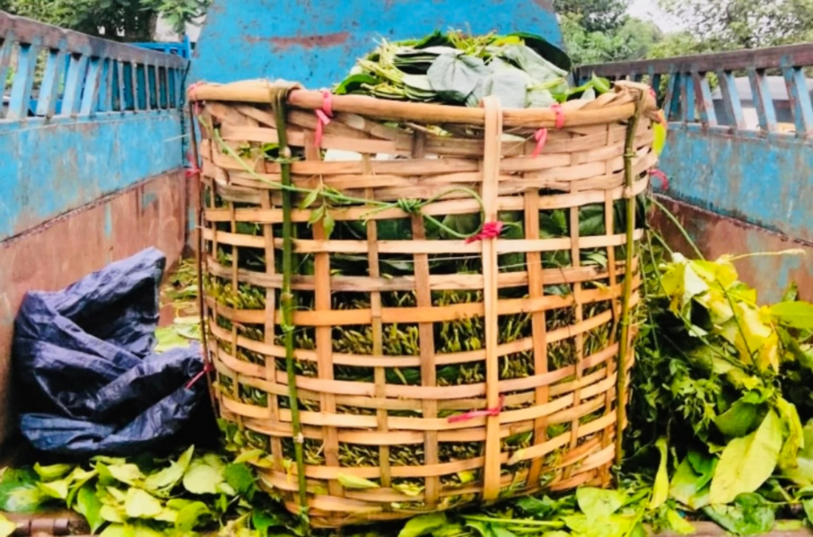 কুমিল্লার পানের ভেতর অর্ধলাখ ইয়াবা