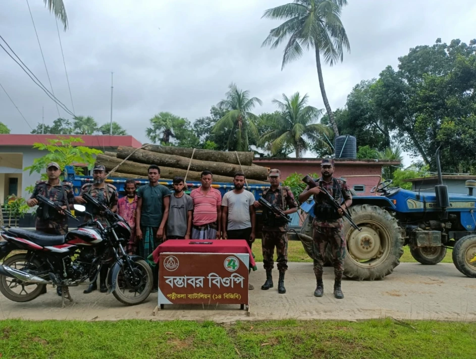 নওগাঁ সীমান্তে বিজিবির অভিযানে সরকারি গাছসহ আটক-৫